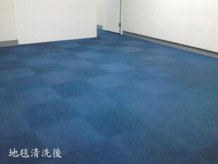 地毯清潔後