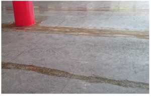 磨石子貼過地毯留下強力膠痕